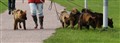 Norge oktober 2012 099_red1.jpg